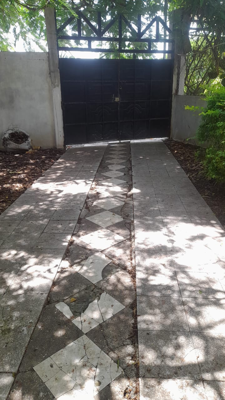 WhatsApp Image 2025-05-13 at 18.25.36